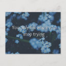 Search for mini postcards Flowers