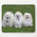 Search for spitz mousepads Pomeranian