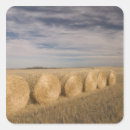 Search for hay bale stickers Landscape
