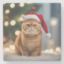 Search for christmas stone coasters Fun