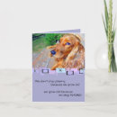 Search for cocker spaniel birthday cards Photography