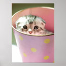 Recherche de image de masque posters Photographie