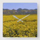 Search for plain blue clocks Yellow