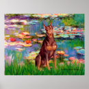 Recherche de pinscher posters Chien