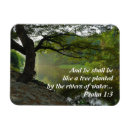 Search for judaism rectangular magnets Old testament