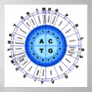 Recherche de amino acids posters Acide