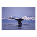 Search for inside passage posters Ocean