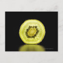 Recherche de kiwis cartes postales Horizontal