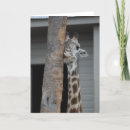 Search for masai cards Giraffe