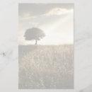 Search for dramatic sky Bright