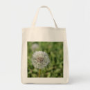 Search for dandelion bags Nature