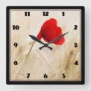 Recherche de pavots horloges Floral