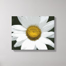 Search for white daisy canvas prints Floral