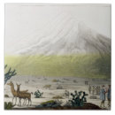 Recherche de costumes carreaux Sud