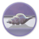 Search for seashell knobs and pulls Ocean