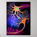 Recherche de scientific posters Biology