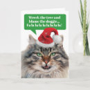 Search for maine coon cat christmas cards Kitty