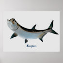 Search for tarpon posters Sea