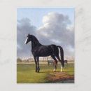 Search for vintage horse racing postcards Equestrian