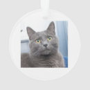 Search for foster care ornaments Rescue