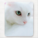 Recherche de minou mignon tapis souris Blanc