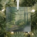 Search for hamburg ornaments Forest
