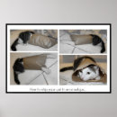 Search for veterinary art Cat