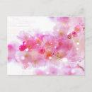 Recherche de fleur de sakura cartes postales Fleurs de cerisier