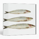 Search for seafood binders Sealife