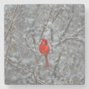 Search for holiday coasters Snow