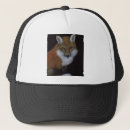 Recherche de renard casquettes Sauvage