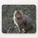 Search for long haired cat mousepads Cats