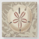 Search for seaside coasters Seashells