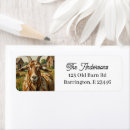 Search for goats return address labels Barn