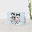 Recherche de salutation de chiot Anniversaire