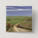 Search for flower square buttons Landscape