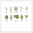 Recherche de anesthésie autocollants Romarin