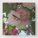 Search for cherry blossom clocks Tree