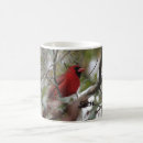 Search for north american bird mugs Wildlife
