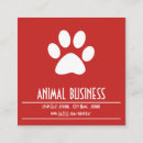 Search for veterinary clinic appointment cards Pet sitter
