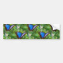 Search for butterfly bumper stickers Blue