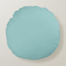 Search for powder blue pillows Aqua