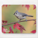 Search for bird watcher electronics Ornithology