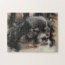 Recherche de chihuahua puzzles Animal de compagnie