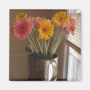 Search for gerber daisies magnets Photography