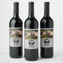 Search for rhinos Wildlife