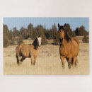 Recherche de jument puzzles Superstock