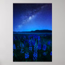 Search for lake tekapo posters Flower