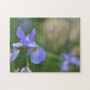 Search for iris puzzles Flowers
