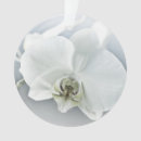 Search for white orchids ornaments For her